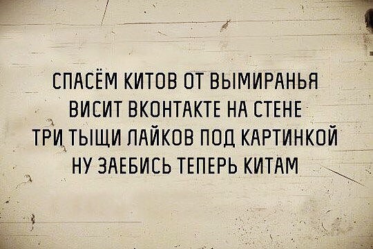 Картинки для деградации 276 (разной степени свежести)