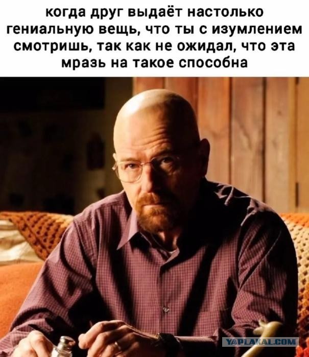 Картинки для деградации 304 (разной степени свежести)
