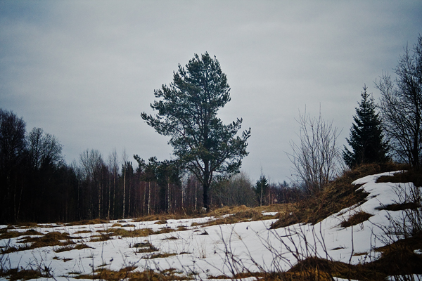 Скоро зима, товарищи !