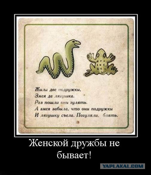 Демотиваторы.