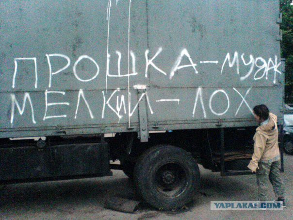 Выносящие мозг надписи на асфальте