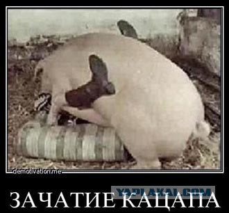 Активисты майдана в Одессе вытерли ноги о знамя