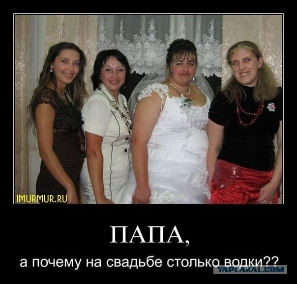 Жених берега попутал