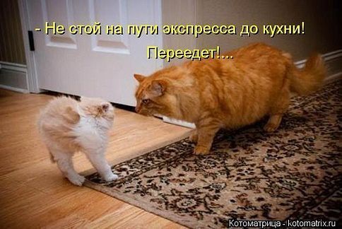 Немного позитива на пятницу.