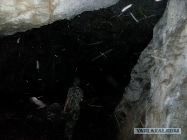 Дорога из Киева и из Москвы в Ялту.