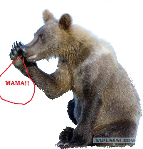 Муж и жена разговаривают на балконе.