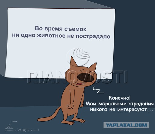Час Пик, Захватывает), Захватывает)
