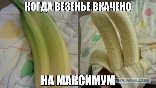 Чутка картинок