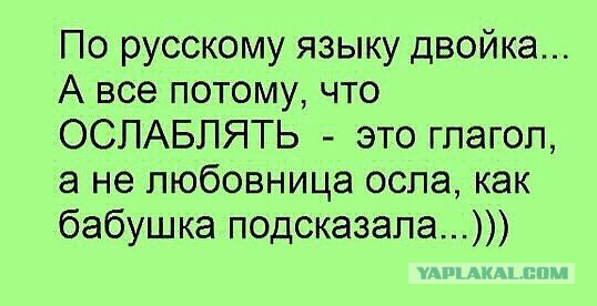 Немного картинок в пятницо.