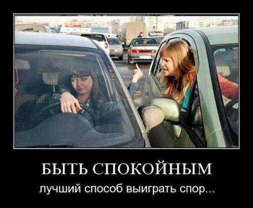 Психанула, подрезала, оттормозила...