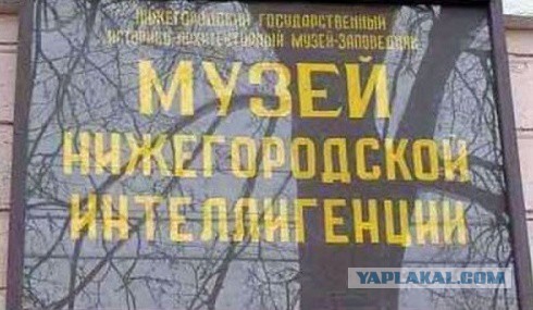 Умом Россию не понять