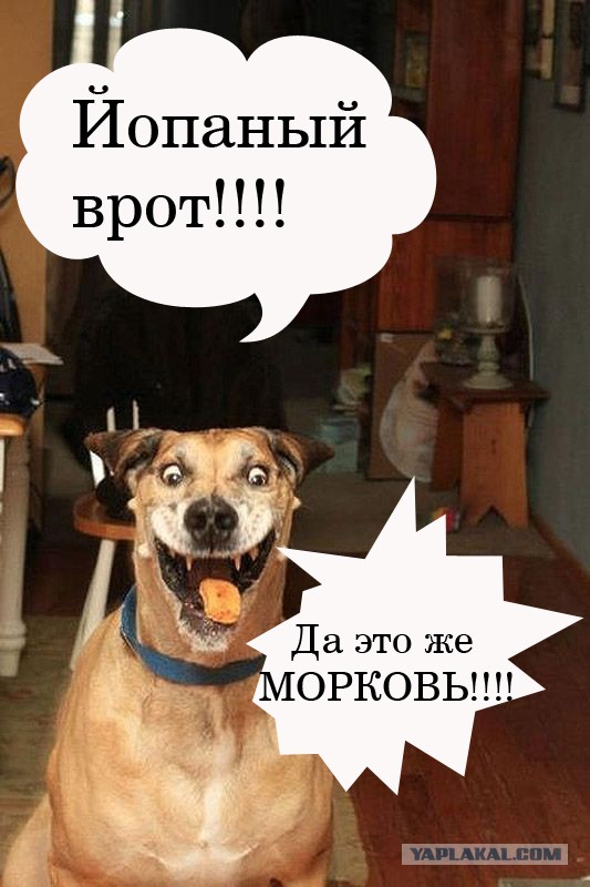 За секунду "до"