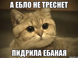 Япония хочет обсудить с Путиным вопрос Курил