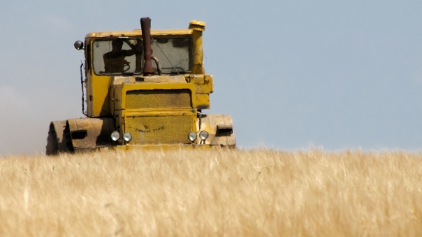 Когда вы минусуете уже заминусованного