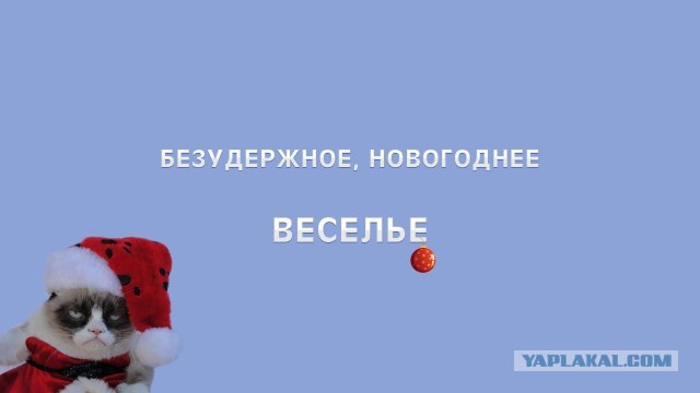 Новогодняя обоина веселого кота