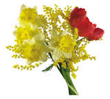 Объявление