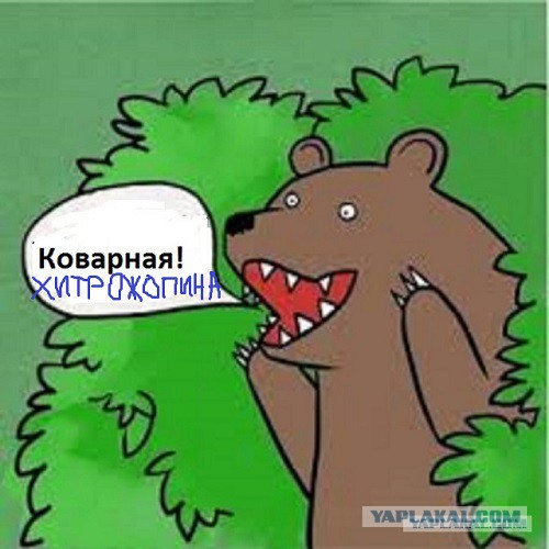 Нашла повод