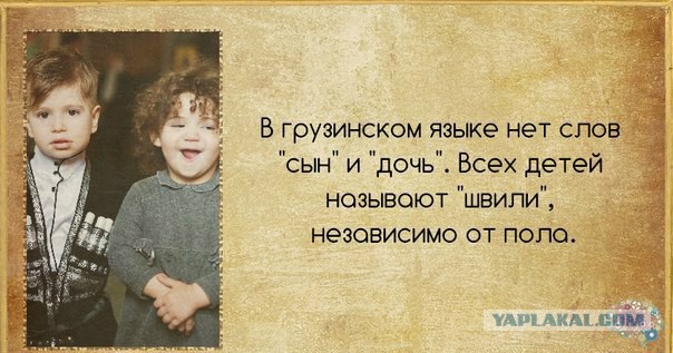 Прикольные картинки и демотиваторы