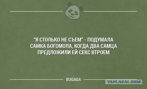 Смешные картинки