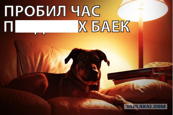 Секс со сломанной челюстью