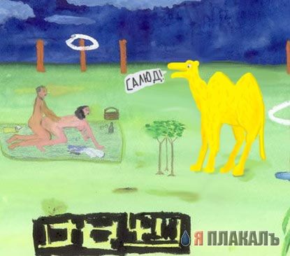 Превед медвед!