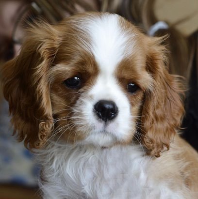 Подборка картинок