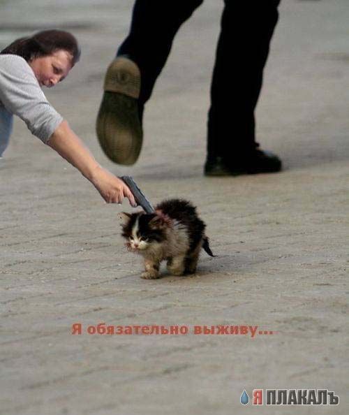 Фотожаба: Тетка и пистолет