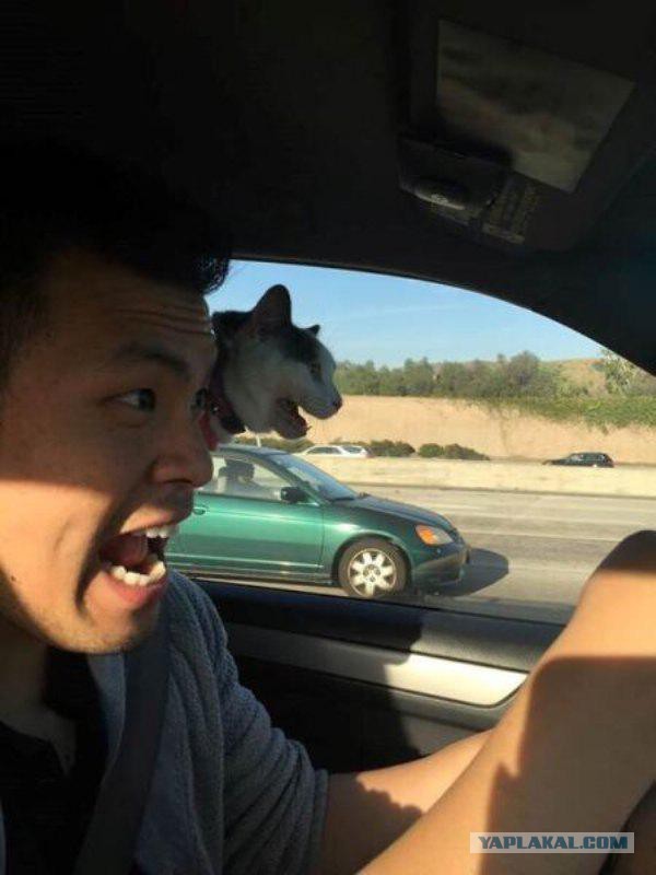 Этот ВЗГЛЯД!