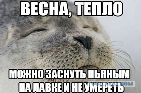 Пятничный алкотрэш и немного чернухи