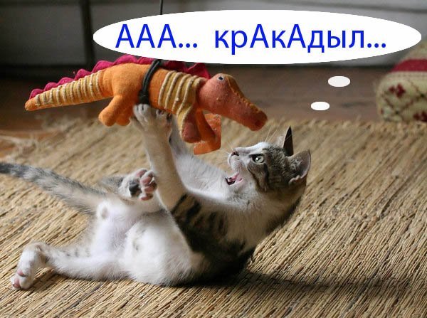 Новенький
