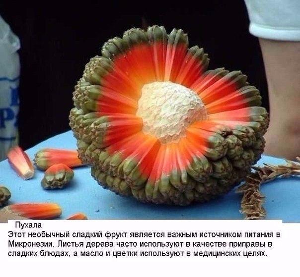 Подборка фото