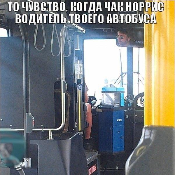Подборка безудержного веселья