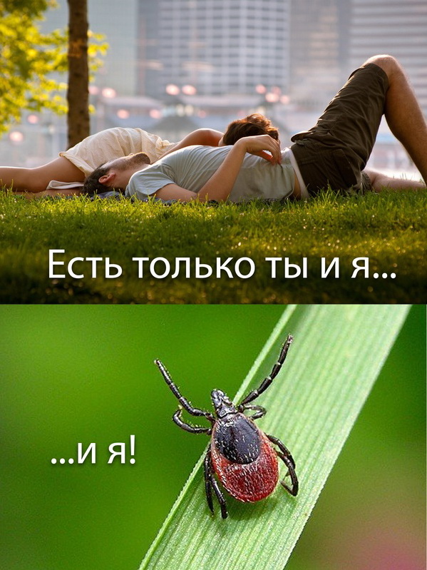 Сейчас бы в деревню...