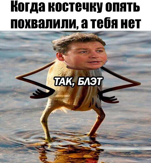 Приколы в стиле "регресс"