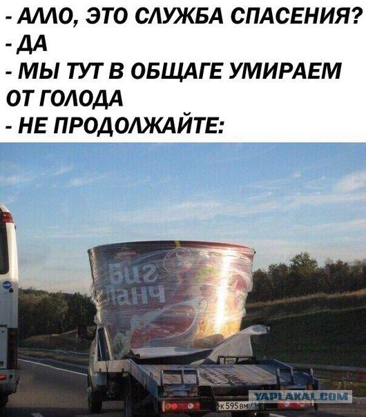 49 забавных картинок