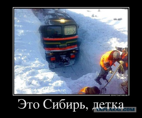 Снежный ад в Москве - большой фотоотчет