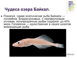 Совершенно непонятные фото, которые может объяснить лишь наука