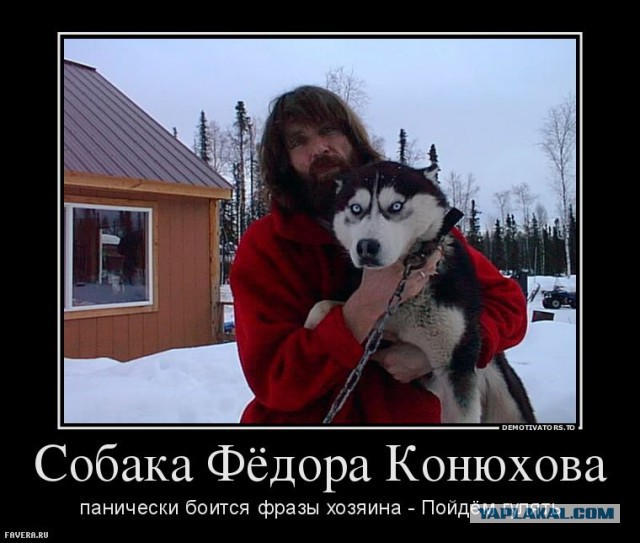 Не сдаваться значит выжить. Истории чудесных спасений, которые произошли потому, что люди не теряли надежду