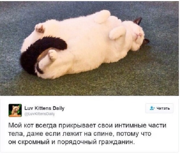 Прикольные комментарии и высказывания из Сети. 26.09. 2018.