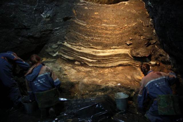 На Алтае нашли диадему из бивня мамонта возрастом 50 тысяч лет