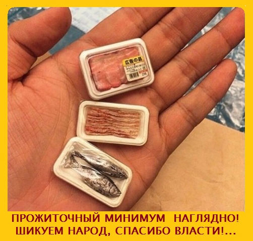 «Отчаялась, что детей не на что будет кормить»: жительница Башкирии убила детей и подожгла дом