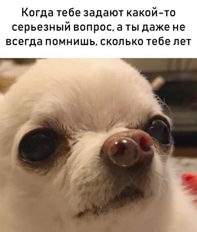 Чудики из социальных сетей 05.01.19