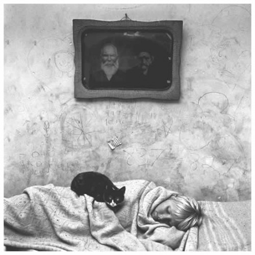 Безумие Roger Ballen.