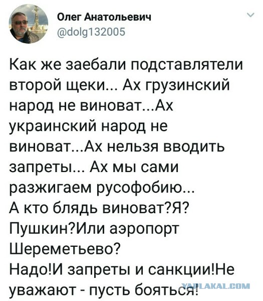 Истерикой русофобов удовлетворён