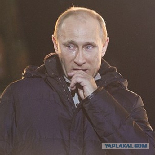 Работу Владимира Путина одобряют 68% россиян