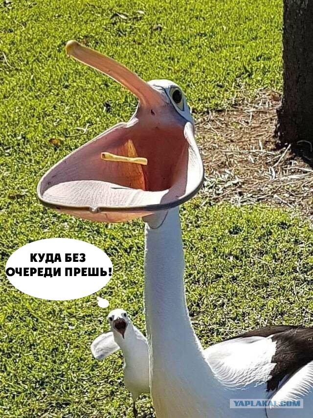 Теперь вы видели больше
