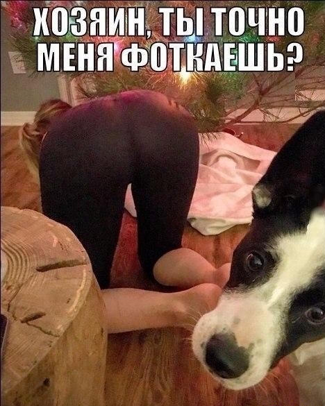 Немного картинок для настроения!