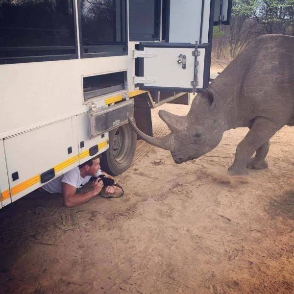 Набор разных картинок 17/10