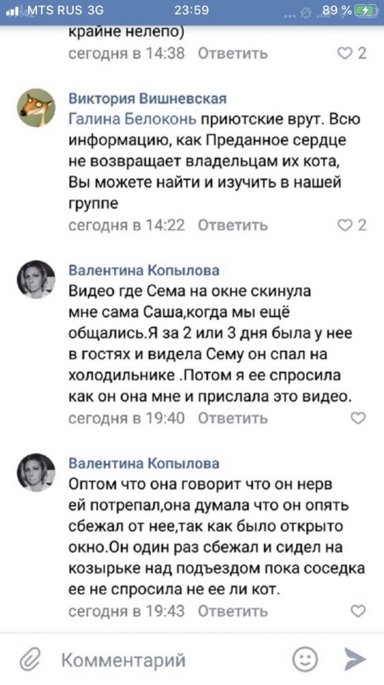 Помогите вернуть кота! Приют "Преданное сердце" украл кота и не отдает!-2