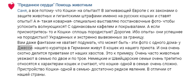 Помогите вернуть кота! Приют "Преданное сердце" украл кота и не отдает!-2